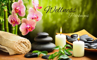 Straight Air Travels  and Tourism LLC UAE. | Wellness Packages