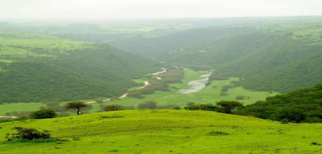 Straight Air Travels  and Tourism LLC UAE. | Enchanting Salalah